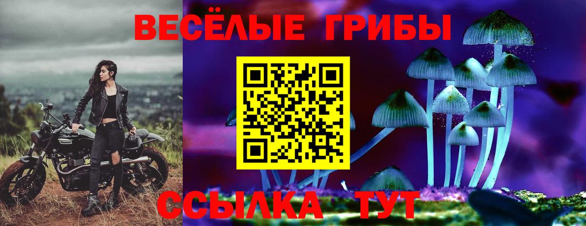 Псилоцибиновые грибы мухоморы  Вход с VPN  Псилоцибиновые грибы GOLDEN TEACHER  Первоуральск 